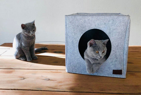 Grotte pour chat en carton, cachette pour chaton, boutique de produits confortables pour chats