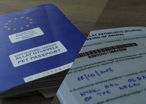Certificat de vaccination pour chien, carte d'identité pour chien, certificat pour chien, puce de certificat étranger