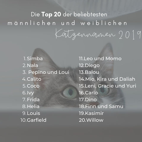Top 10 des noms de chats 2019